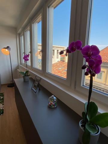 Apartament Mandi Mandi Cavour Udine Zewnętrze zdjęcie